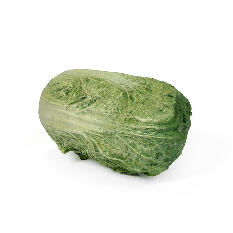 cabbage1_web.jpg